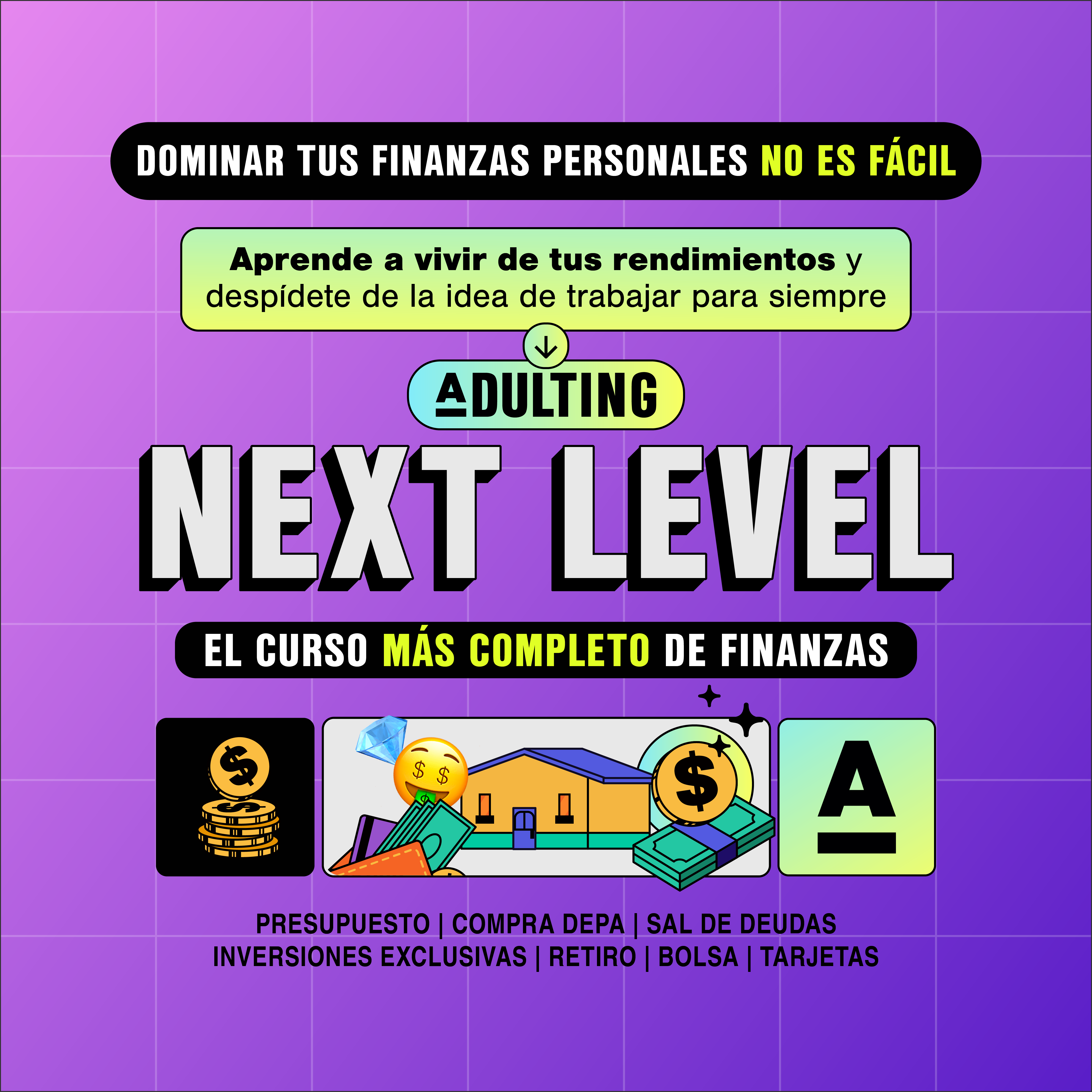 ADULTING NEXT LEVEL