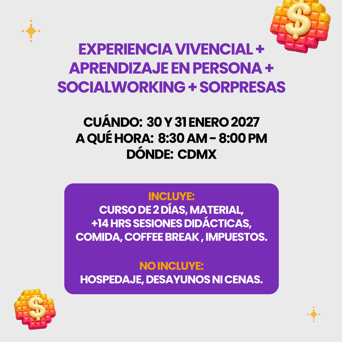 ADULTING NEXT LEVEL: THE EXPERIENCE