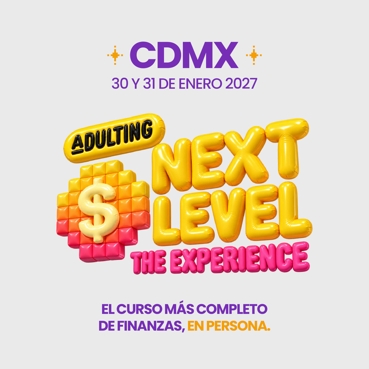 ADULTING NEXT LEVEL: THE EXPERIENCE