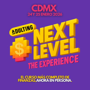 ADULTING NEXT LEVEL: THE EXPERIENCE